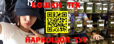 мдпв Лесосибирск