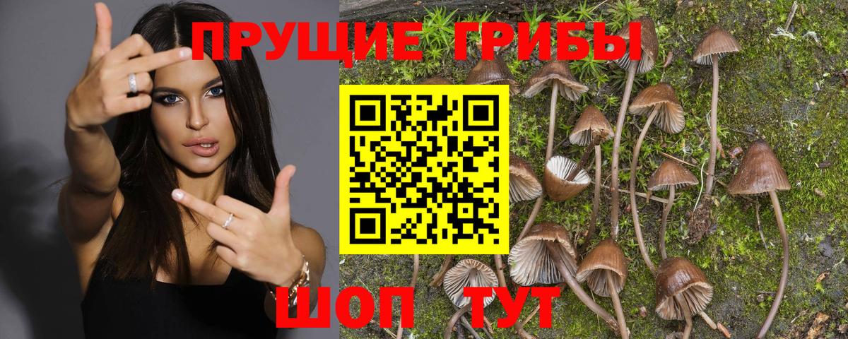 Галлюциногенные грибы MAGIC MUSHROOMS Фурманов