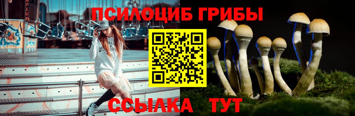Галлюциногенные грибы Magic Shrooms  Вход с VPN  Фурманов  Псилоцибиновые грибы мицелий 